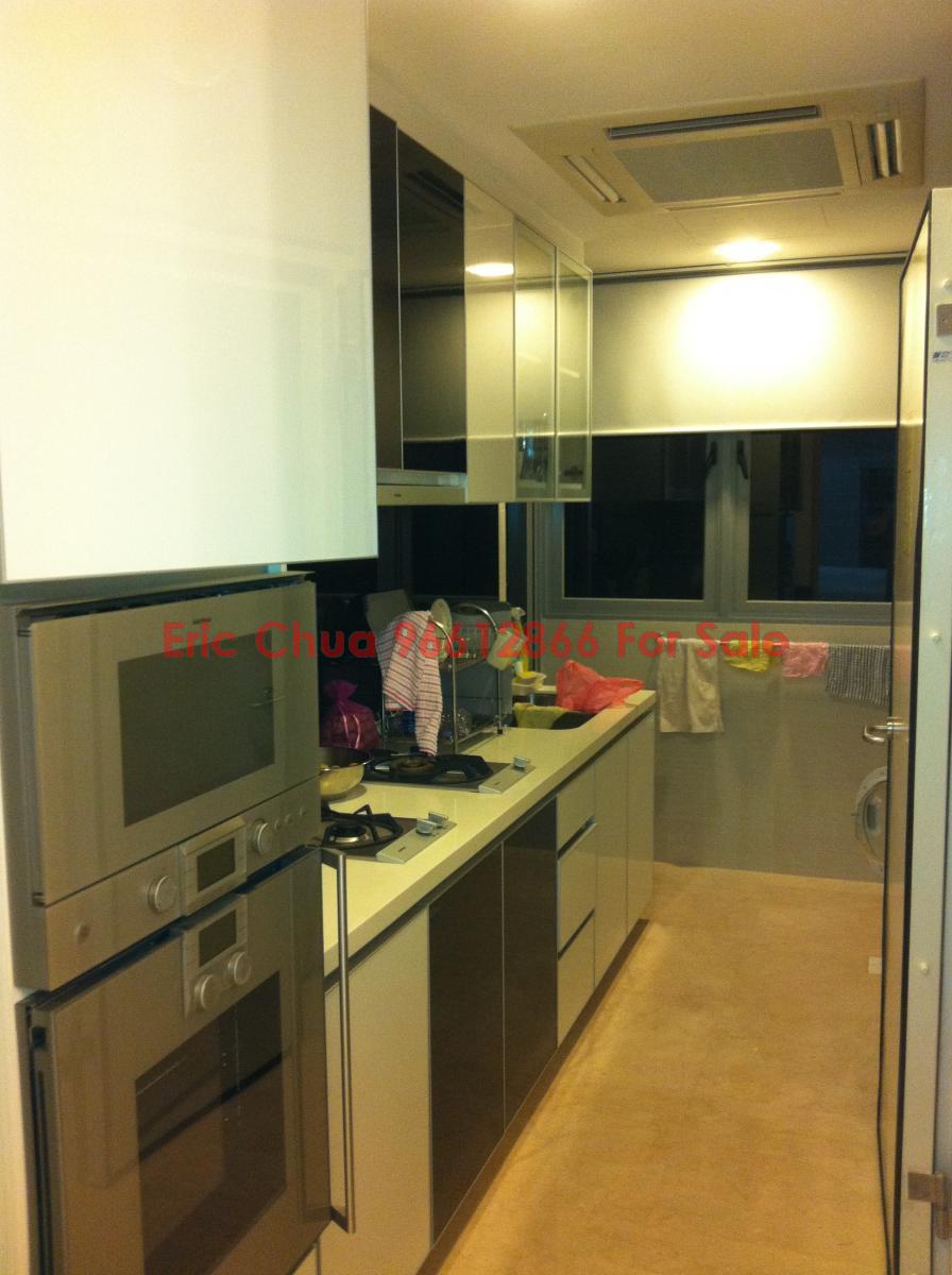 Angullia Park Residences @ Orchard (D10), Apartment #101153912